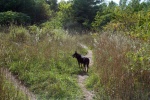 Scout Valley Orillia Ontario